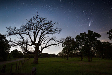 Fototapeta na wymiar Comet Neowise crosses paths with two shooting stars over central texas prairie