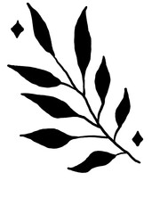 Foliage decorative black element on the white isolated background. Clipart illustration.