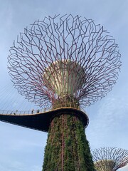 Arbre artificiel, jardins de la Baie à Singapour	
