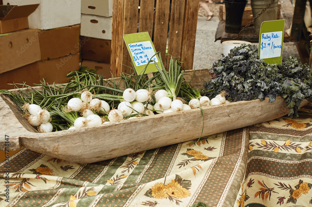 Wall mural display of onions and ruby kale for sale at a farmers market in boulder, colorado