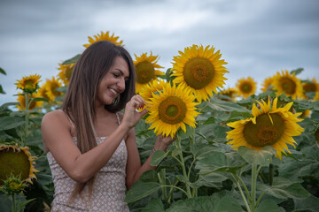 
a young beautiful smiling girl poses in a sunflower field 