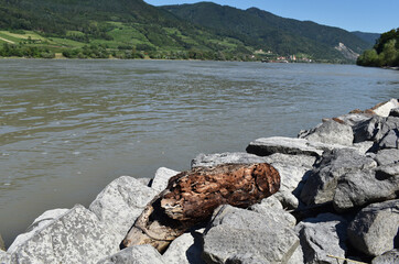 Schwemmholz an Fluss mit Hügeln und Weinbergen, angeschwemmtes Holz, wurmzerfressen, kultig	
