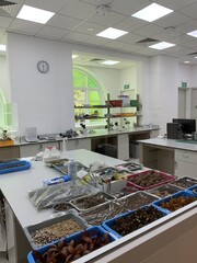 Laboratoire du jardin botanique à Singapour