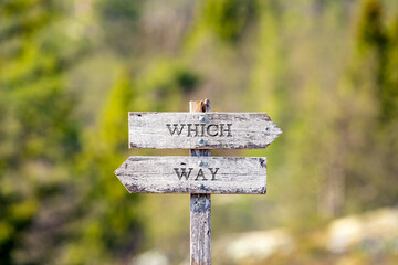 which way text carved on wooden signpost outdoors in nature. Green soft forest bokeh in the...