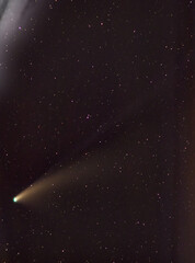 Comet Neowise C/2020 F3 with a tail against the background of outer space - observation at night on July 23, 2020, Kaluzhskiy region, Russia