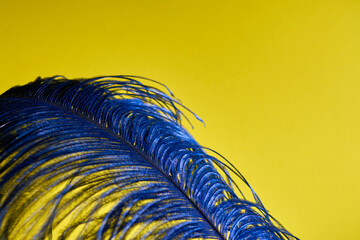A blue feather on yellow background. Copy space.