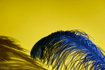 A blue feather with shadow on a yellow background. Copy space.
