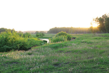 morning in the countryside