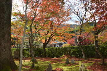 紅葉の京都
