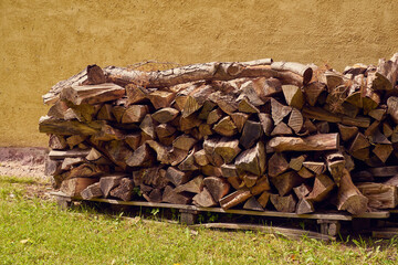 Firewood, dry chopped logs on green grass.