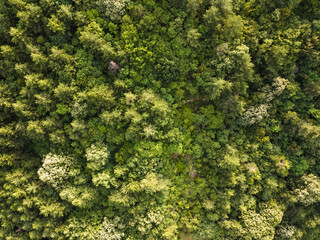 Rhodope Mountains near town of Asenovgrad, Bulgaria