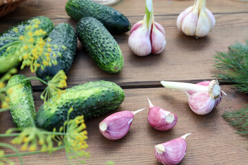Green cucumbers with garlic and herbs, prepared for salting, on a wooden background, bokeh