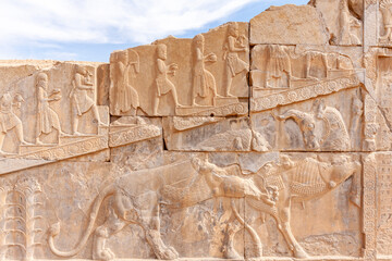 Achaemenid Persian Soldiers on the  wall, Persepolis , Iran