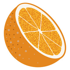 sliced orange vector