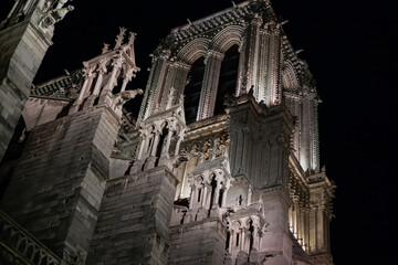 North West Tower Notre Dame Gargoyles, night