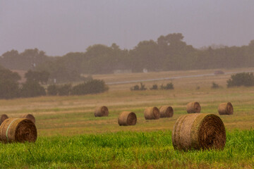 Hay bales under a light rain