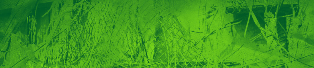 abstract green bright color background for design