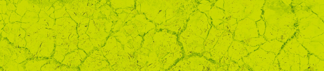 abstract lime and green colors background for design