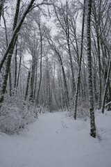 snowing hiking path