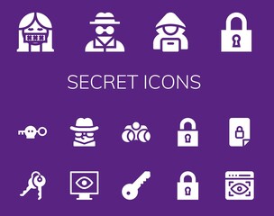 secret icon set