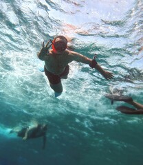 Young man snorkeling underwater,red sea , Egypt .
