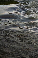 Aerial photo of a small surf break off the coast of New Zealand. 