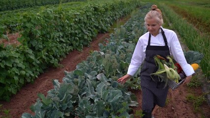 Slow motion shot of female chef farmer for farm to table restaurant walking through field carrying crate of fresh vegetables.