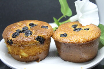 chocolate chip muffin
