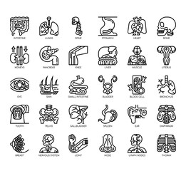 Set of human organ thin line and pixel perfect icons for any web and app project.