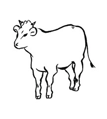 牛の手描き線画