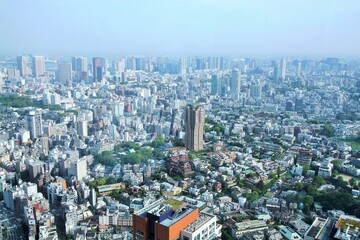 Fototapeta premium 東京の街並み