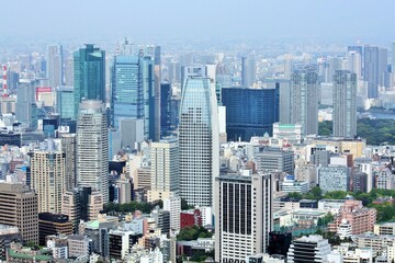 Obraz premium 東京の街並み