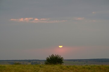 Lullaby sunset light for a lonely bush in the steppe performed by a part of the semicircular sun.