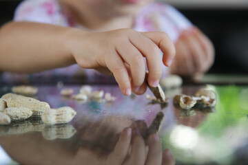 Toddler girl eating peanuts in shell on the kitchen table