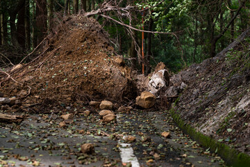 土砂崩れで通行止めになった道