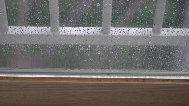 Window Drippings Muson Images – Browse 34 Stock Photos, Vectors, and Video | Adobe Stock