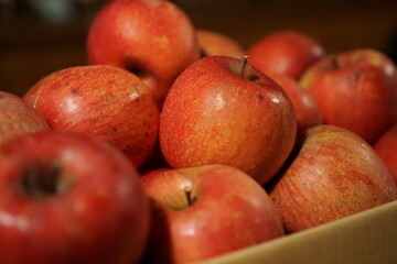 red apples in a basket