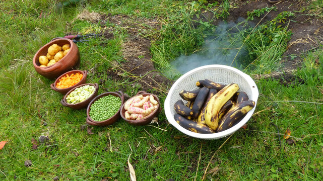 The pachamanca  is an ancestral cooking process, part of ritual of indigenous people of the Andes and traditional food. Potatoes, carrots, beans, peas are prepared for cooking underground. Ecuador