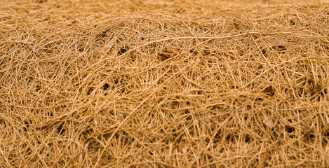 Texture Closeup of Burlap Grain
