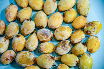 Frozen medlar fruits (Eriobotrya japonica) on light blue background