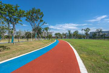 Obraz premium road in park