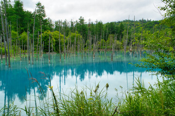 青い池