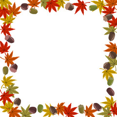 秋らしいどんぐりと紅葉の正方形フレーム