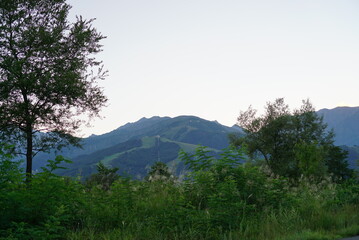 mountain landscape with trees