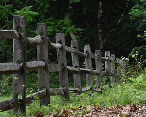Naklejka premium wooden fence and green grass