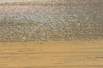 The sunlight hits the waves as glittering light. ,waves on the beach