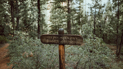 old wooden sign in forest