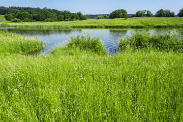 Fototapeta na wymiar green meadows on lakeside. countryside landscape on a sunny summer day