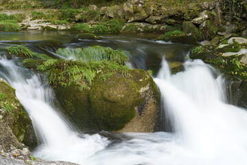 small waterfall in the forest