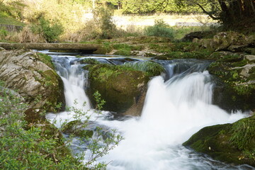 small waterfall in the forest